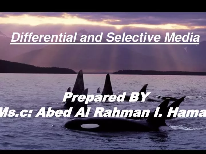 differential and selective media prepared by ms c abed al rahman i hamad