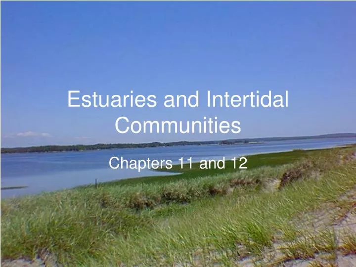 estuaries and intertidal communities