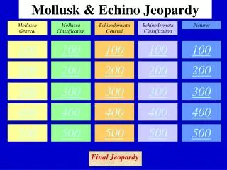 Mollusk &amp; Echino Jeopardy