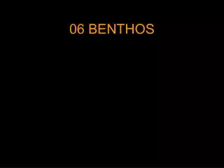 06 BENTHOS