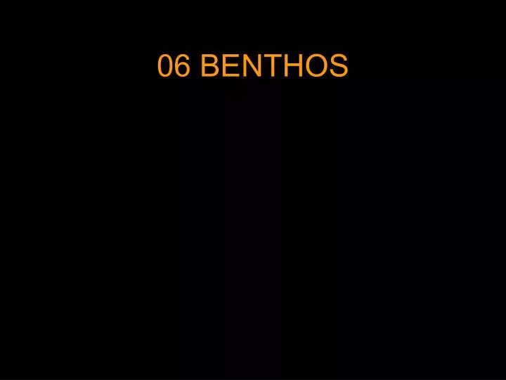 06 benthos