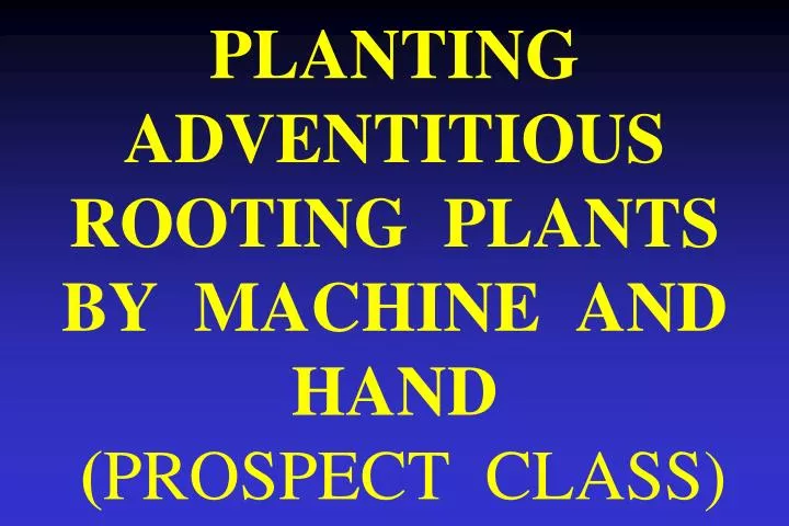 planting adventitious rooting plants by machine and hand prospect class