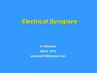 Electrical Synapses