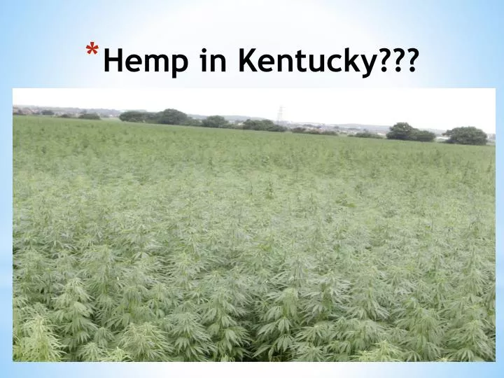 hemp in kentucky