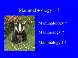 Mammal + ology = ?