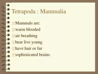 Tetrapoda : Mammalia