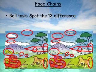 Bell task: Spot the 12 difference