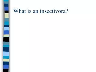 What is an insectivora?
