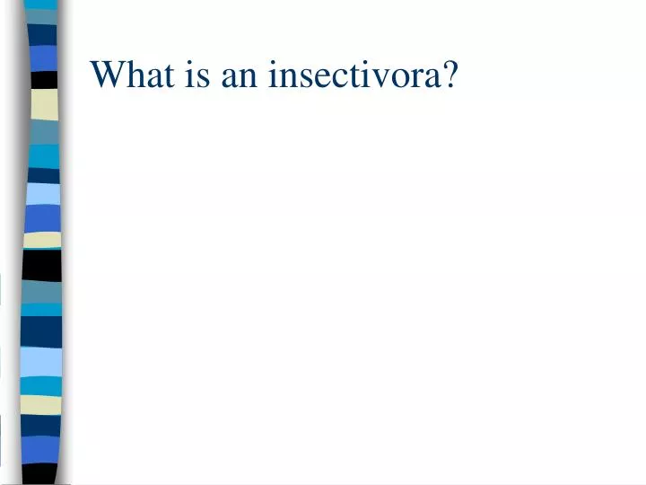 what is an insectivora