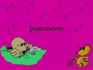 Insectivores