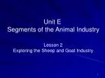 Unit E Segments of the Animal Industry - slide 1