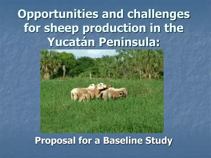 opportunities and challenges for sheep production in the yucat n peninsula