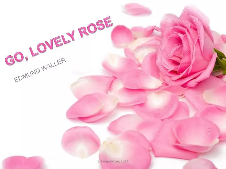 go lovely rose