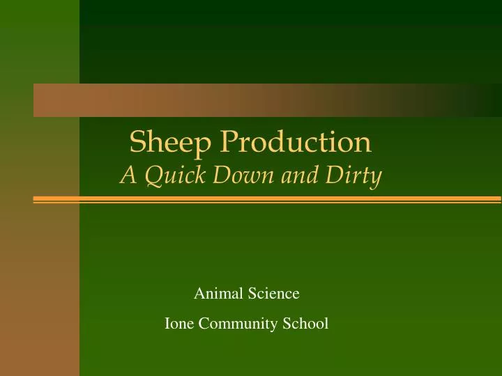 sheep production a quick down and dirty