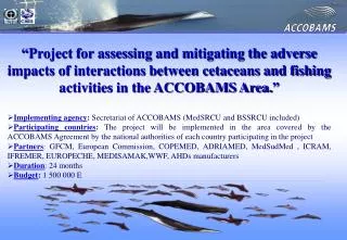 Project endorsed by the ACCOBAMS Parties in November 2004