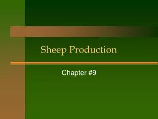 Sheep Production