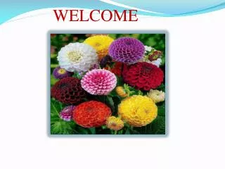 WELCOME