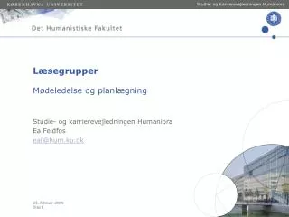 l segrupper m deledelse og planl gning