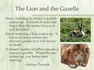 the lion and the gazelle