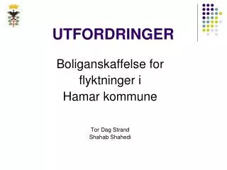 utfordringer