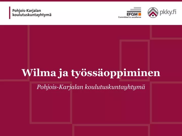 wilma ja ty ss oppiminen