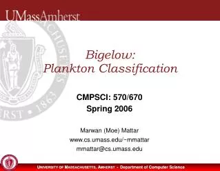 Bigelow: Plankton Classification