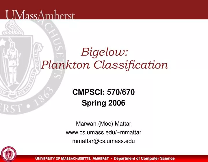 bigelow plankton classification