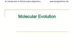 Molecular Evolution - slide 1
