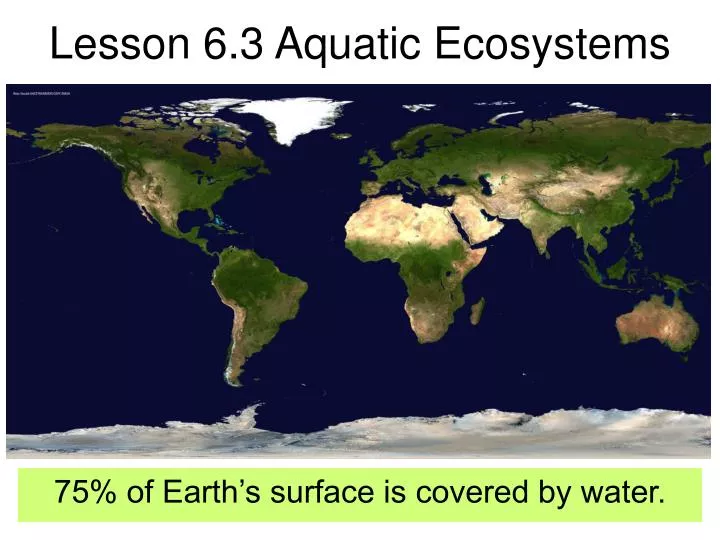 lesson 6 3 aquatic ecosystems