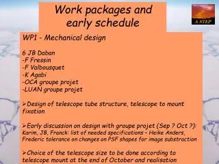 Work packages and early schedule