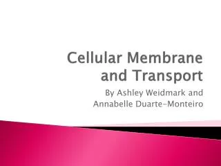 Cellular Membrane and Transport