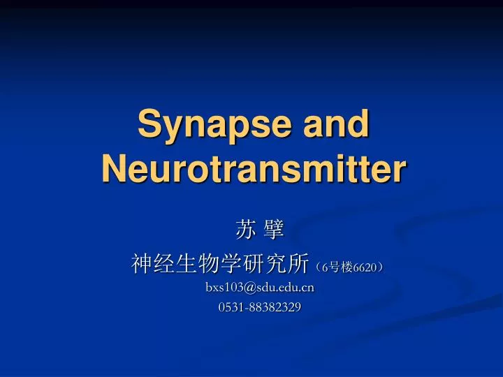synapse and neurotransmitter