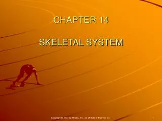 CHAPTER 14 SKELETAL SYSTEM