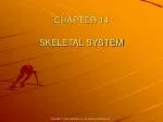 CHAPTER 14 SKELETAL SYSTEM - slide 1