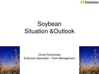 Soybean Situation &amp;Outlook
