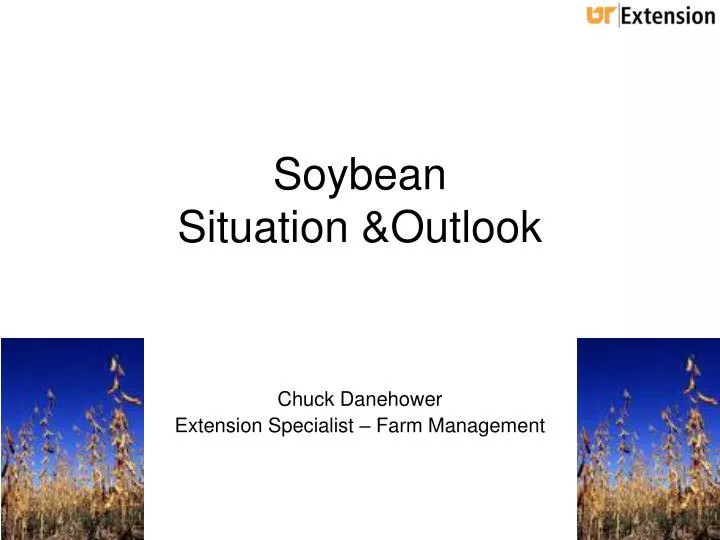 soybean situation outlook