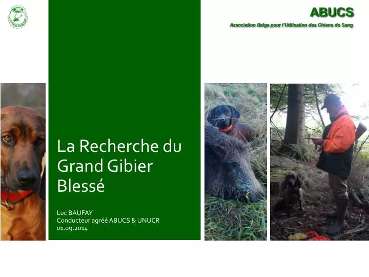 la recherche du grand gibier bless