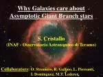 Why Galaxies care about Asymptotic Giant Branch stars