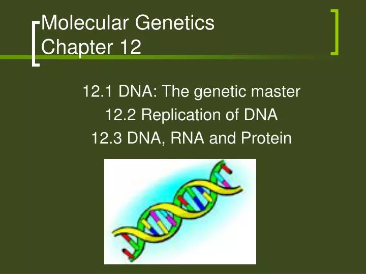 molecular genetics chapter 12