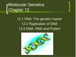 PPT - Chapter 12 Molecular Genetics PowerPoint Presentation, free ...