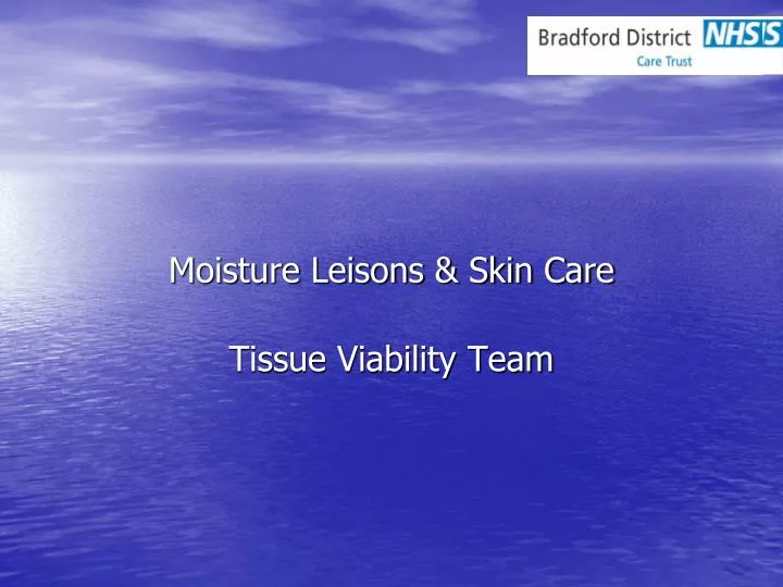 moisture leisons skin care