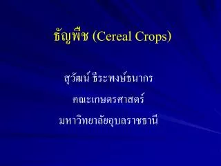 cereal crops