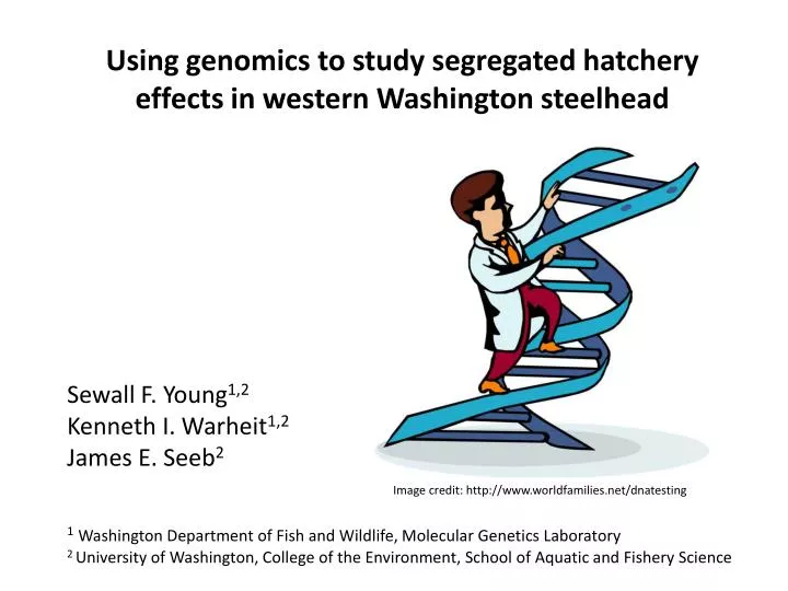 using genomics to study segregated hatchery effects in western washington steelhead
