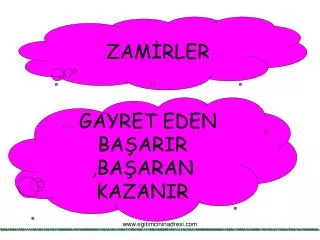 zam rler