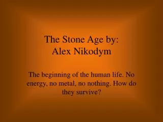 The Stone Age by: Alex Nikodym