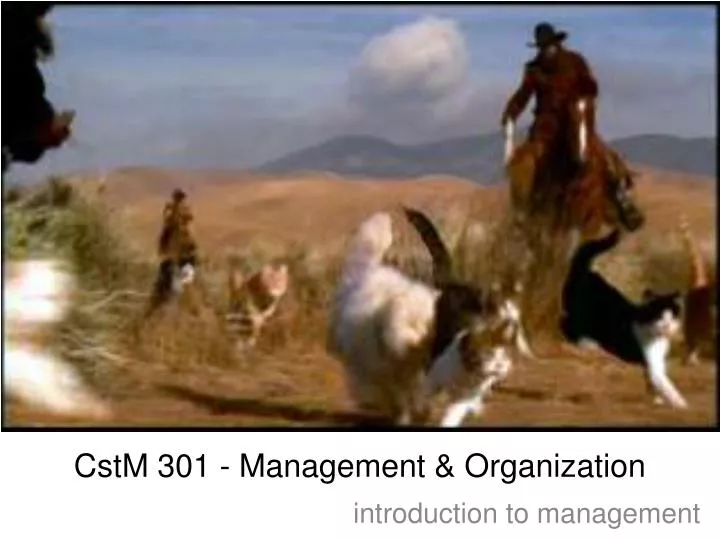 cstm 301 management organization