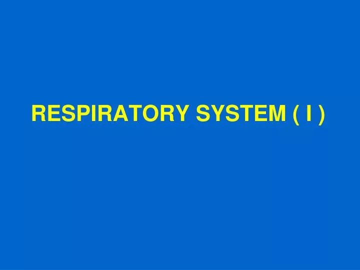 respiratory system i
