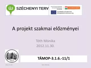a projekt szakmai el zm nyei