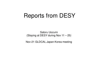 Reports from DESY