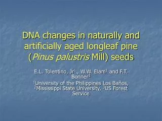 DNA changes in naturally and artificially aged longleaf pine ( Pinus palustris Mill) seeds
